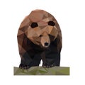 Low poly wild vector bear